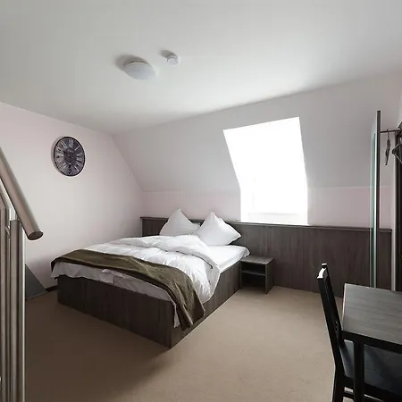 호텔 뷔르거호프호텔 3*